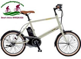 Chú ý điều gì khi mua xe đạp trợ lực Nhật bãi?