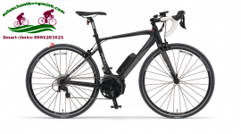 Giới thiệu một số mẫu xe đạp trợ lực Nhật được ưa chuộng năm 2017 tại Nhật Bản