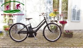 Lý do có thể sử dụng xe đạp trợ lực Nhật như xe thể thao