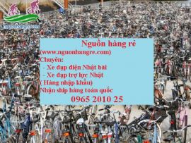 Xe đạp trợ lực Nhật mua ở đâu?