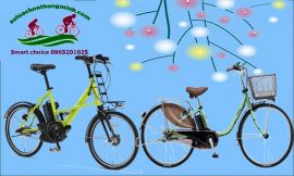 Đi tìm lời giải: Xe đạp trợ lực Nhật là gì?