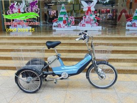 Xe đạp điện Nhật ba bánh
