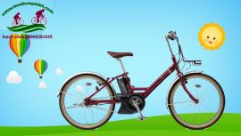 Xe đạp trợ lực Nhật mới năng động và trẻ trung