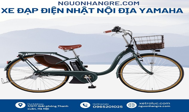 Xe đạp điện trợ lực yamaha pas natura