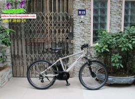 Xe đpạ thể thao trợ lực Nhật Bản Panasonic 2019