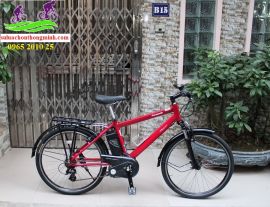 Xe đạp thể thao trợ lực Nhật Panasonic màu đỏ