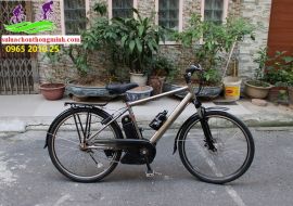 Xe đạp thể thao trợ lực Yamaha pas Brace màu đồng