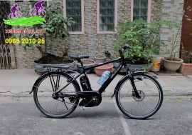 Xe đạp thể thao trợ lực Nhật Bản Yamaha pas brace