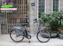 Xe đạp trợ lực Nhật Bản Brigestone 2019