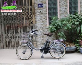 Xe đạp trợ lực Nhật Bản Brigestone Assista bánh nhỏ