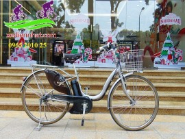 Xe đạp trợ lực Nhật Assista Natura