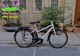 Xe đạp trợ lực Nhật Bản Vienta màu trắng