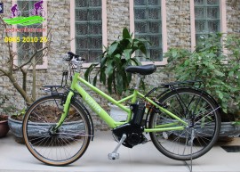 Xe đạp trợ lực Nhật Bản Vienta 5 màu xanh lá cây 2018