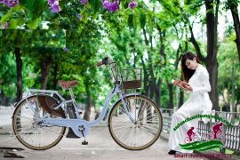 Xe đạp trợ lực Nhật Bản