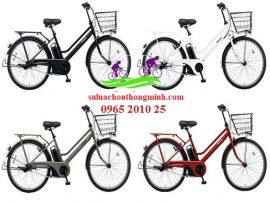 Mua xe đạp trợ lực Nhật ở đâu đúng giá?