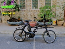 Xe đạp trợ lực Nhật Panasonic BE-EPZ01 bánh nhỏ phong cách thể thao