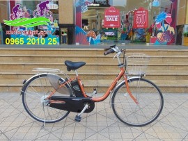 Xe đạp trợ lực Panasonic cam