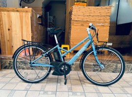 Xe đạp trợ lực Nhật Vienta