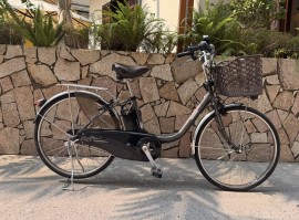 Xe đạp trợ lực Nhật Panasonic màu cà phê