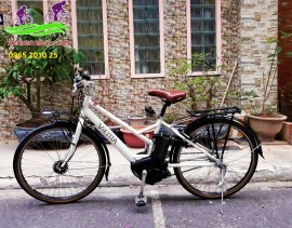 Xe đạp trợ lực Vienta 5 màu trắng 2017